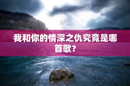 我和你的情深之仇究竟是哪首歌？