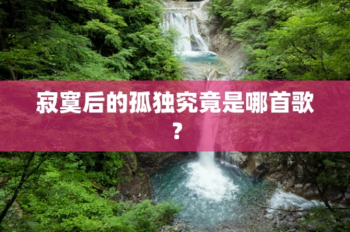 寂寞后的孤独究竟是哪首歌？