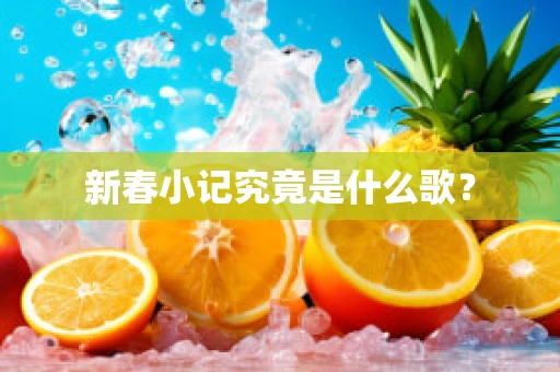 新春小记究竟是什么歌？