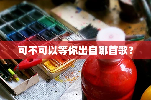 可不可以等你出自哪首歌？