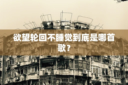 欲望轮回不睡觉到底是哪首歌？