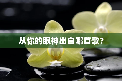 从你的眼神出自哪首歌？