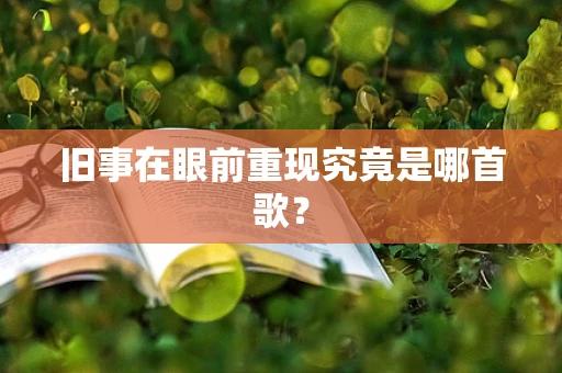 旧事在眼前重现究竟是哪首歌？