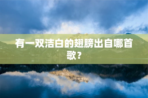 有一双洁白的翅膀出自哪首歌？