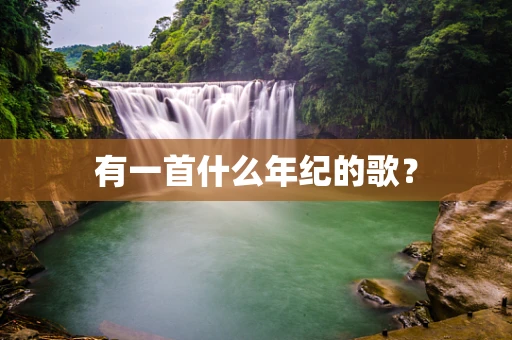 有一首什么年纪的歌？