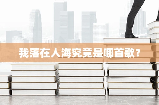 我落在人海究竟是哪首歌？