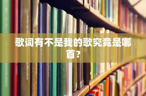 歌词有不是我的歌究竟是哪首？
