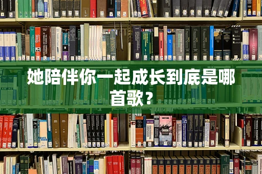 她陪伴你一起成长到底是哪首歌？
