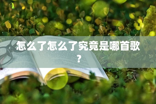 怎么了怎么了究竟是哪首歌？