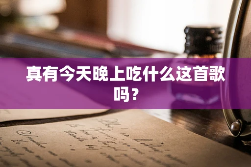 真有今天晚上吃什么这首歌吗？