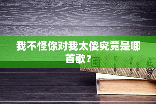 我不怪你对我太傻究竟是哪首歌？