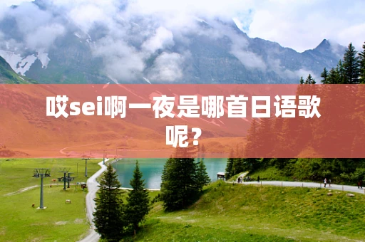 哎sei啊一夜是哪首日语歌呢？