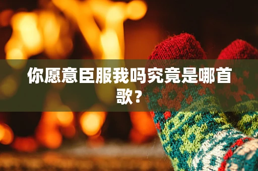 你愿意臣服我吗究竟是哪首歌？