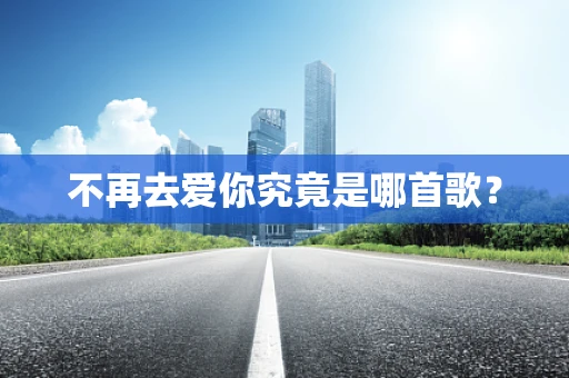 不再去爱你究竟是哪首歌？