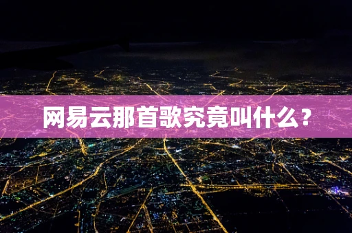 网易云那首歌究竟叫什么？