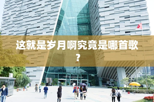 这就是岁月啊究竟是哪首歌？
