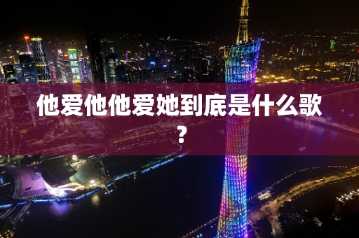 他爱他他爱她到底是什么歌？