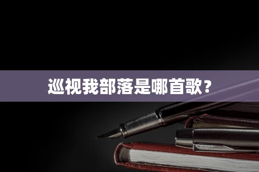巡视我部落是哪首歌？