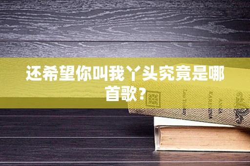 还希望你叫我丫头究竟是哪首歌？