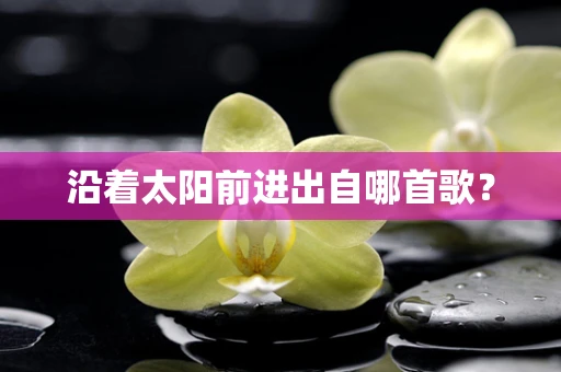 沿着太阳前进出自哪首歌？