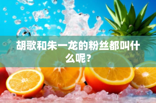 胡歌和朱一龙的粉丝都叫什么呢？