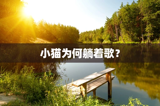 小猫为何躺着歌？