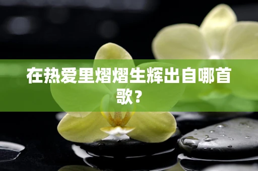 在热爱里熠熠生辉出自哪首歌？