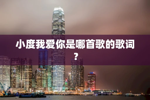 小度我爱你是哪首歌的歌词？