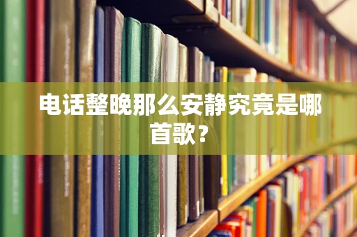 电话整晚那么安静究竟是哪首歌？