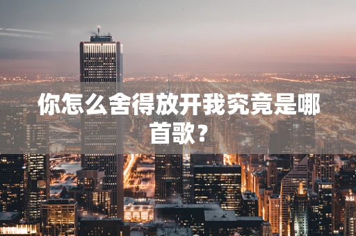 你怎么舍得放开我究竟是哪首歌？