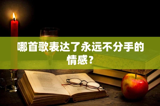 哪首歌表达了永远不分手的情感？