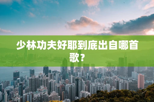 少林功夫好耶到底出自哪首歌？