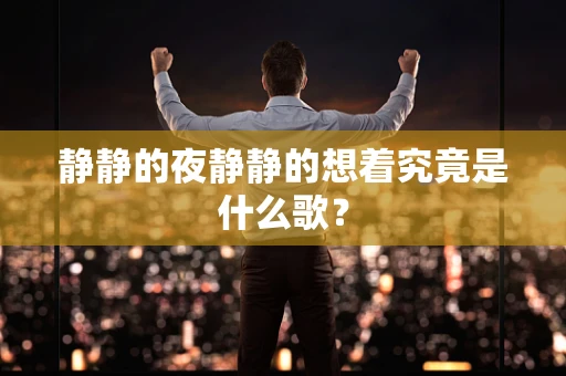 静静的夜静静的想着究竟是什么歌？