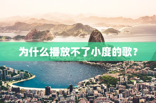 为什么播放不了小度的歌？