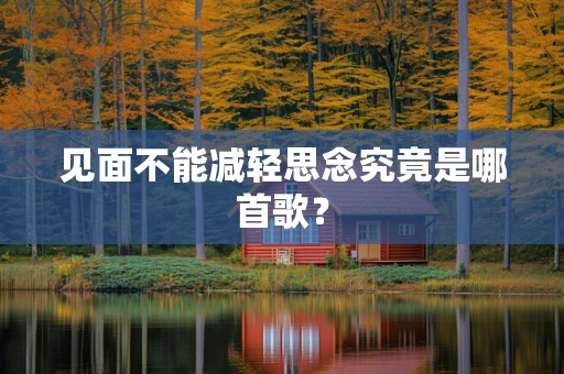 见面不能减轻思念究竟是哪首歌？