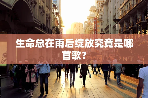 生命总在雨后绽放究竟是哪首歌？