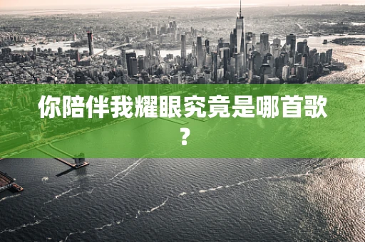 你陪伴我耀眼究竟是哪首歌？