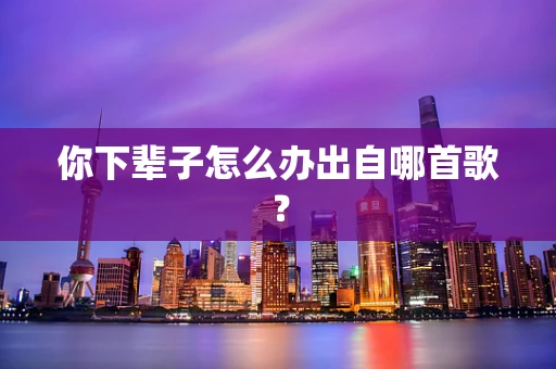 你下辈子怎么办出自哪首歌？