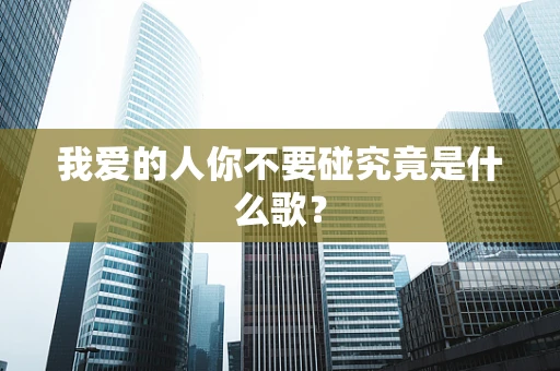 我爱的人你不要碰究竟是什么歌？