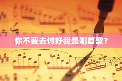 你不要去讨好我是哪首歌？