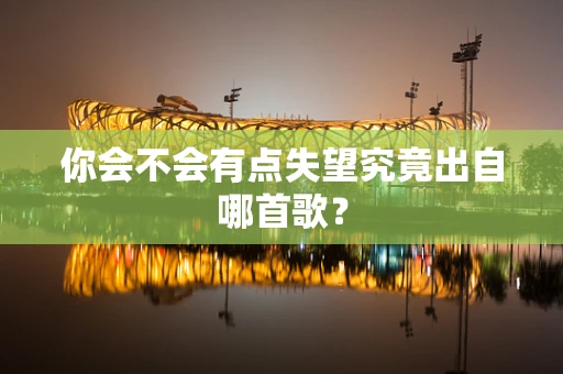你会不会有点失望究竟出自哪首歌？