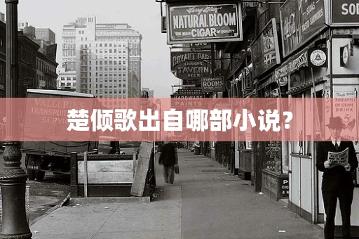 楚倾歌出自哪部小说？
