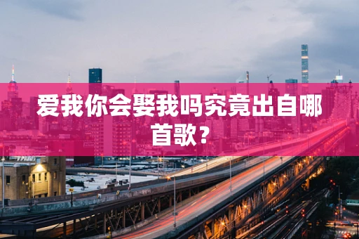 爱我你会娶我吗究竟出自哪首歌？