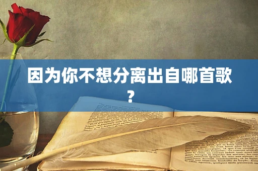 因为你不想分离出自哪首歌？