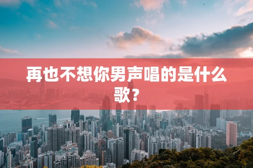 再也不想你男声唱的是什么歌？