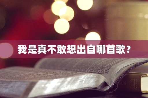 我是真不敢想出自哪首歌？