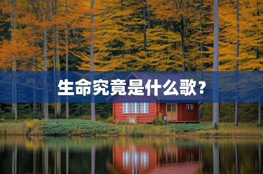 生命究竟是什么歌？