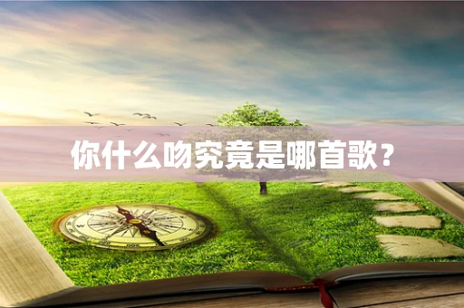 你什么吻究竟是哪首歌？