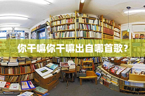 你干嘛你干嘛出自哪首歌？