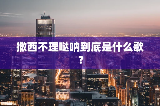 撒西不理哒呐到底是什么歌？